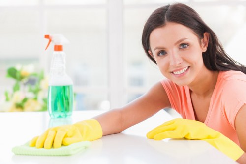 Professional rug cleaning service for Paddington homes and apartments