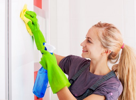 Professional sofa cleaning service for Paddington homes and apartments