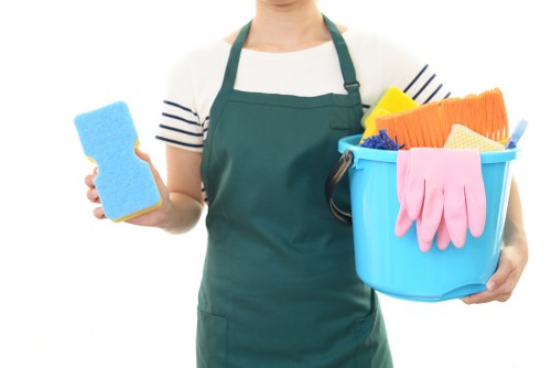 Professional oven cleaning service for a Paddington home kitchen