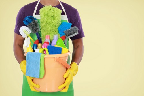 Professional carpet cleaning service for a Paddington home interior
