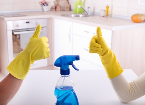 Professional house cleaning in a Paddington home with attention to living areas