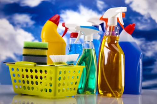Professional domestic cleaning for Paddington properties and nearby areas