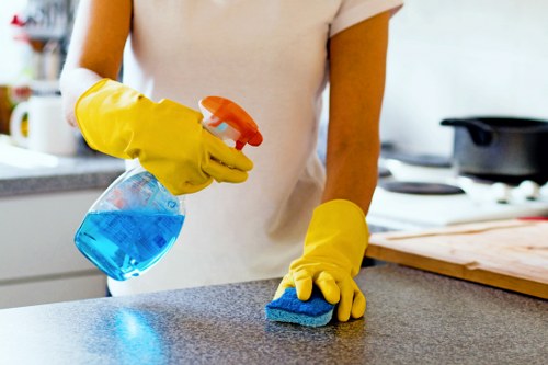 Professional cleaning equipment used for stain removal