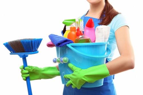 Detailed move out cleaning for homes and offices in Paddington