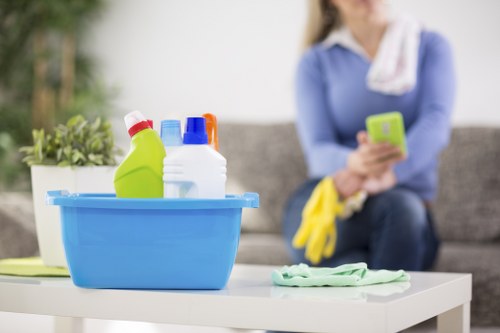Paddington cleaning professional maintaining a fresh living space