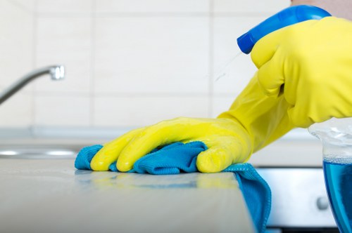 Thorough bathroom and surface cleaning in a Paddington home