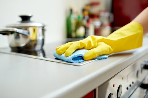 Detailed after builders cleaning for a refurbished Paddington home