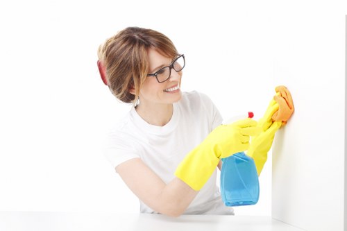 Professional pet stain odour removal for a carpeted Paddington home