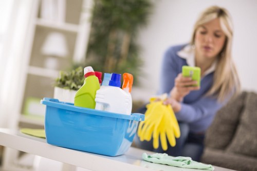 Professional carpet deep cleaning in a Paddington apartment