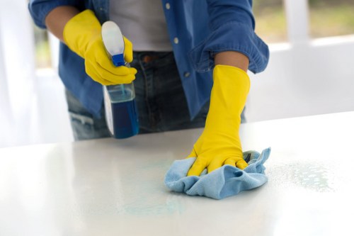 Deep cleaning equipment used on carpets in a Paddington apartment