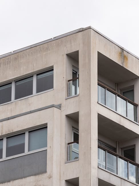 https://cleanerpaddington.org.uk/blog/sameday-mould-removal-for-paddington-flats/